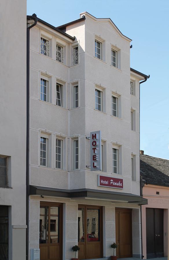 Pančevo B&B Villa Panuka מראה חיצוני תמונה